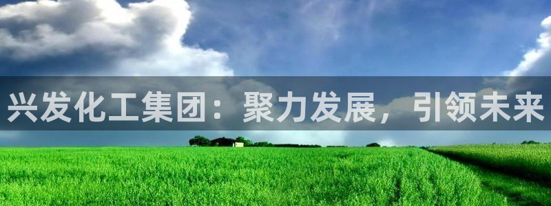 球盟会官方客服：兴发化工集团：聚力发展，引领未来