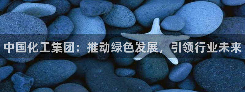 球盟会：中国化工集团：推动绿色发展，引领行业未来