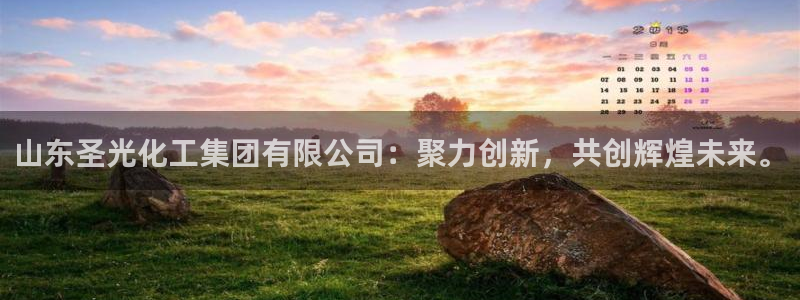 球盟会官方入口：山东圣光化工集团有限公司：聚力创新，共创辉煌