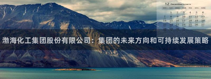 球盟会官网app下载：渤海化工集团股份有限公司：集团的未来方