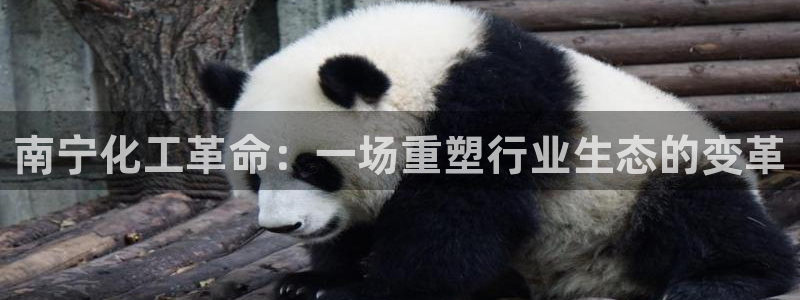 球盟会地址：南宁化工革命：一场重塑行业生态的变革