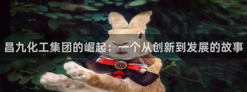球盟会里面有打牌的嘛知乎：昌九化工集团的崛起：一个从创新到发