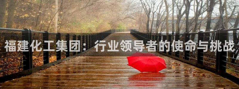球盟会黑平台：福建化工集团：行业领导者的使命与挑战