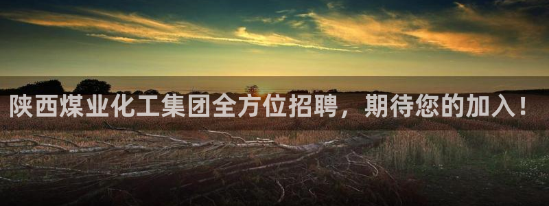 球盟会可以提现么是真的吗：陕西煤业化工集