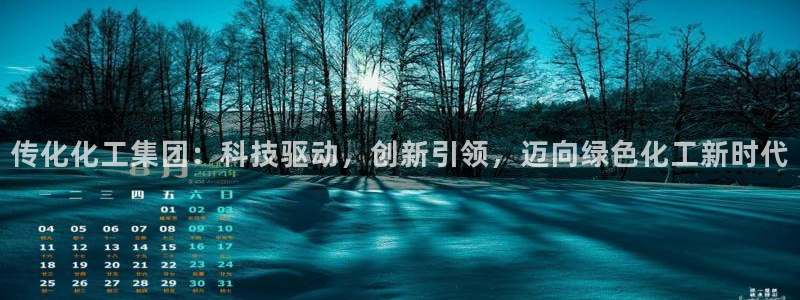 球盟会黑台：传化化工集团：科技驱动，创新
