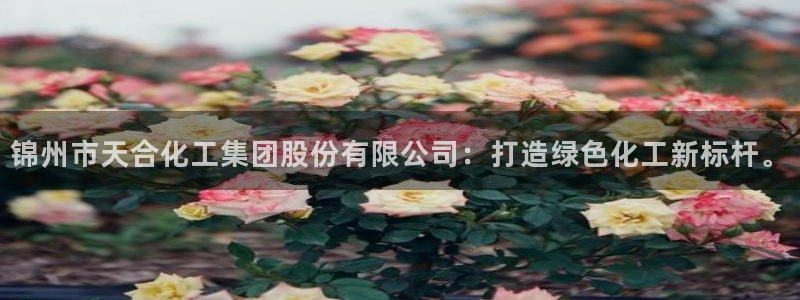 球盟会头号玩家是谁：锦州市天合化工集团股份有限公司：打造绿色