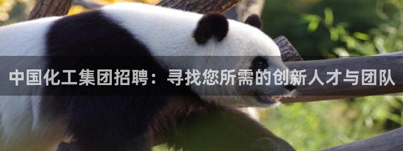 球盟会可以提现么是真的吗：中国化工集团招