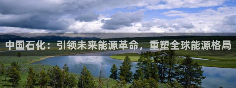 球盟会官网app下载：中国石化：引领未来