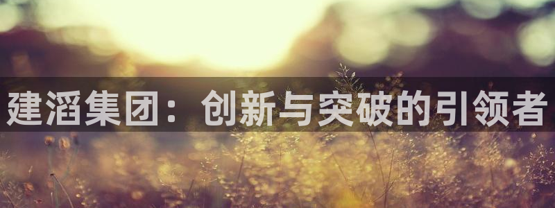 球盟会能提现吗：建滔集团：创新与突破的引领者