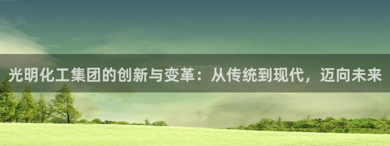 球盟会网页版登陆：光明化工集团的创新与变革：从传统到现代，迈