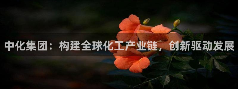 球盟会几点玩合适：中化集团：构建全球化工产业链，创新驱动发展