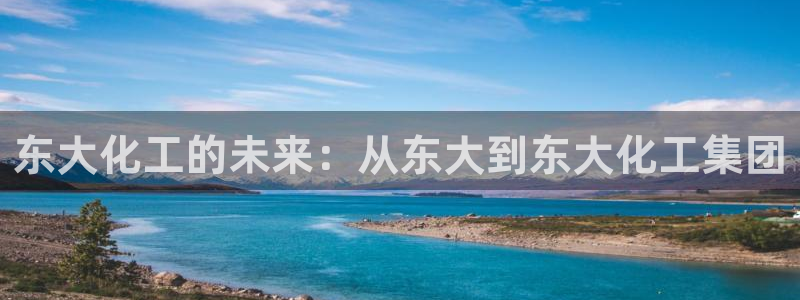 球盟会能退钱吗：东大化工的未来：从东大到东大化工集团