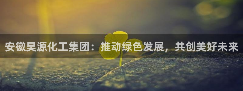 球盟会进不去:安徽昊源化工集团:推动绿色发展,共创美好未来