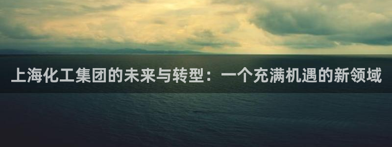 球盟会登录平台:上海化工集团的未来与转型:一个充满机遇的新领