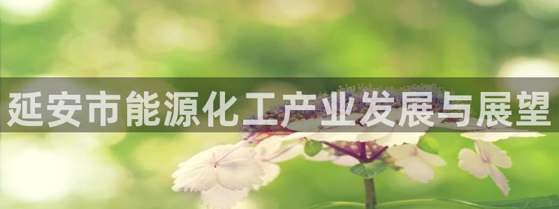 球盟会论坛:延安市能源化工产业发展与展望