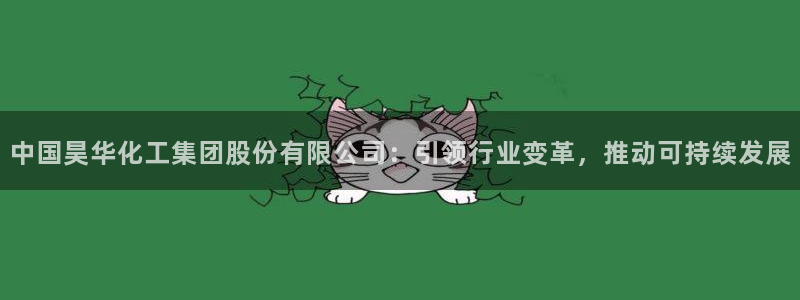 球盟会黑台子:中国昊华化工集团股份有限公司:引领行业变革,推