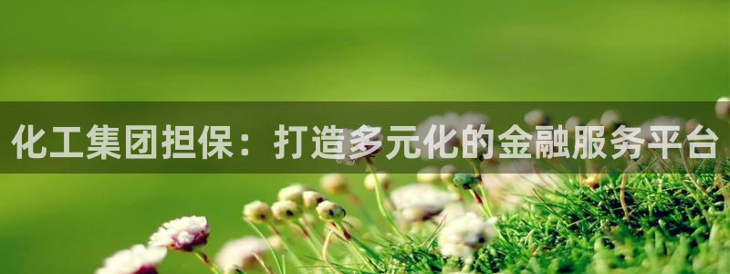 球盟会乐虎:化工集团担保:打造多元化的金融服务平台