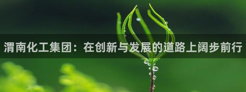 球盟会app最新地址在哪里:渭南化工集团:在创新与发展的道路