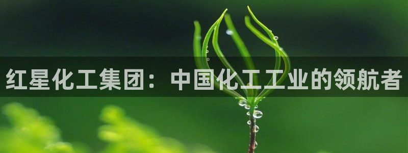球盟会头号玩家:红星化工集团:中国化工工业的领航者
