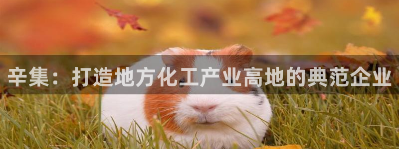 千亿球盟会乐玩:辛集:打造地方化工产业高地的典范企业