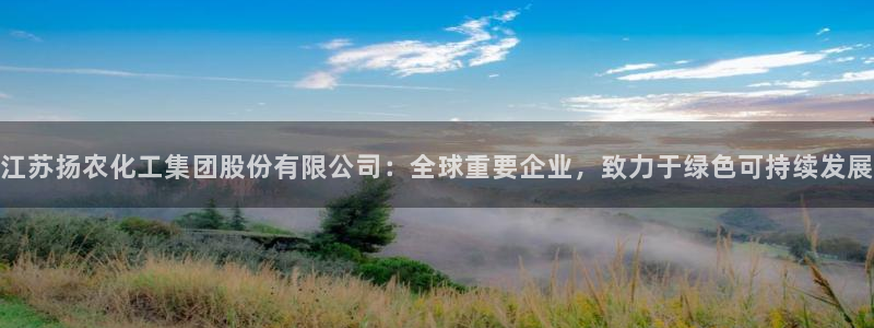 球盟会电子好黑：江苏扬农化工集团股份有限