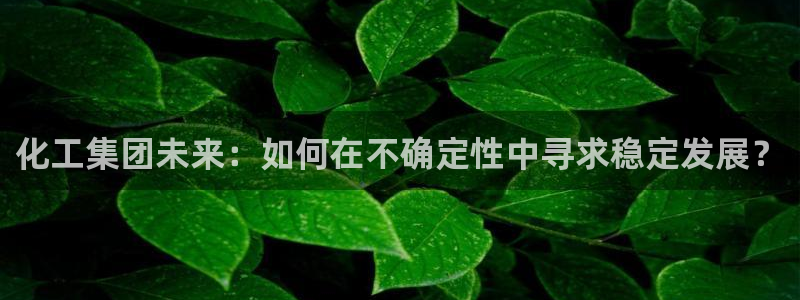 球盟会app最新地址在哪里：化工集团未来