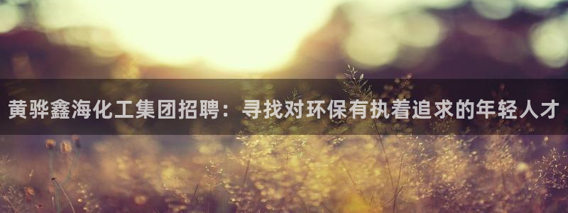 球盟会官网登录入口:黄骅鑫海化工集团招聘:寻找对环保有执着追