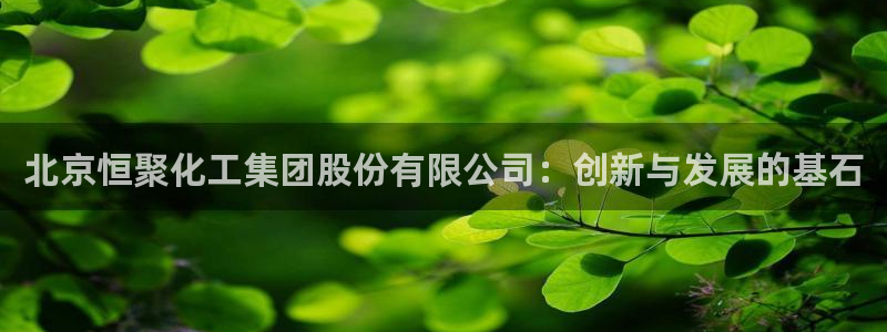 球盟会连接：北京恒聚化工集团股份有限公司：创新与发展的基石