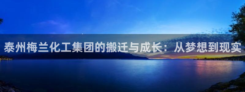 球盟会官方网站入口：泰州梅兰化工集团的搬迁与成长：从梦想到现