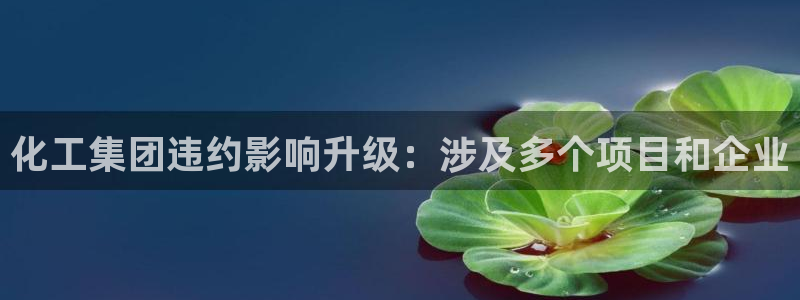 球盟会在线网站：化工集团违约影响升级：涉及多个项目和企业