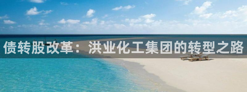 球盟会手机网页版：债转股改革：洪业化工集团的转型之路