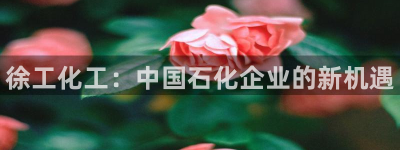 球盟会几点玩合适