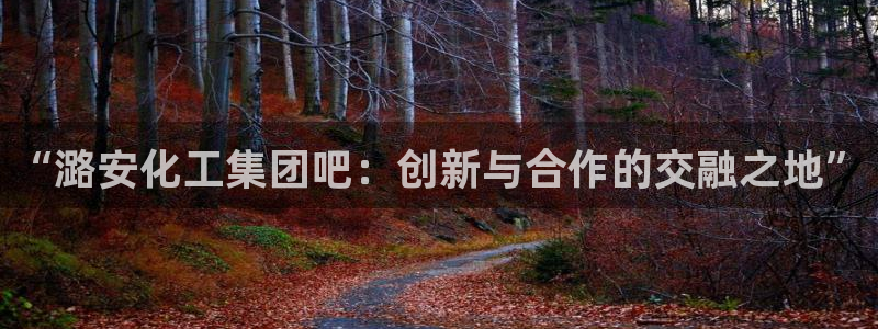 球盟会优惠券：“潞安化工集团吧：创新与合