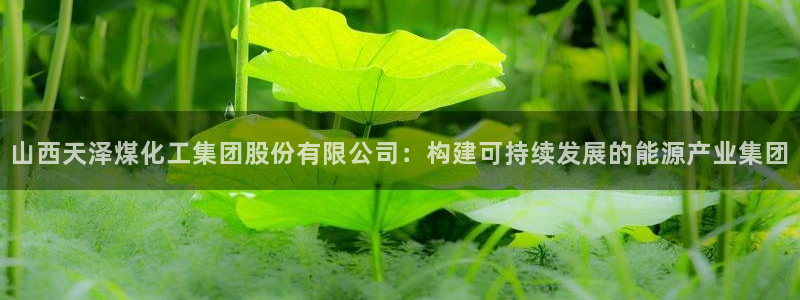 球盟会官方登录平台入口：山西天泽煤化工集