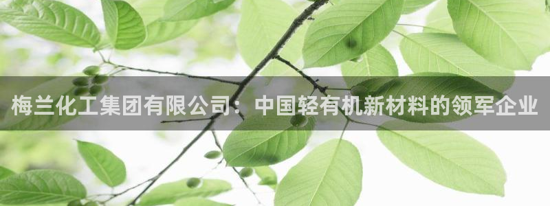 球盟会能提现吗是真的吗：梅兰化工集团有限公司：中国轻有机新材