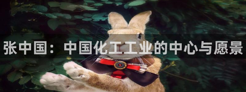 球盟会平台会黑单吗：张中国：中国化工工业的中心与愿景