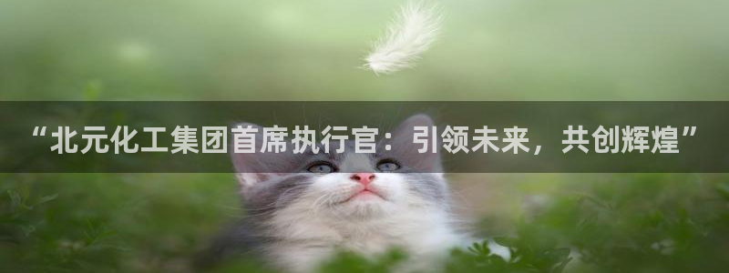 球盟会官方登录平台：“北元化工集团首席执行官：引领未来，共创
