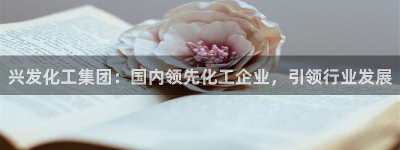 球盟会网页版登陆：兴发化工集团：国内领先化工企业，引领行业发