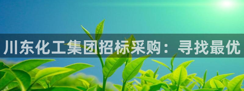 球盟会几点玩合适：川东化工集团招标采购：寻找最优