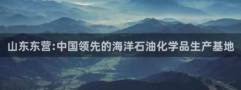 球盟会官方网站入口:山东东营:中国领先的海洋石油化学品生产基