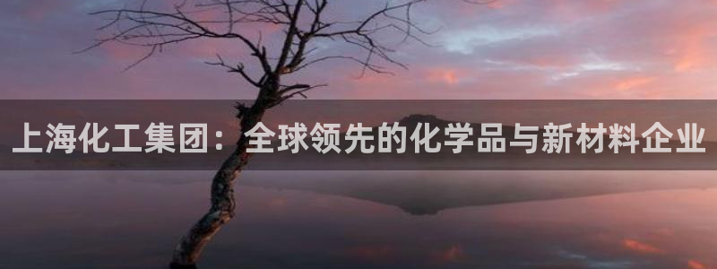 球盟会网址qm9 - 球盟会qmh网页版登录:上海化工集团: