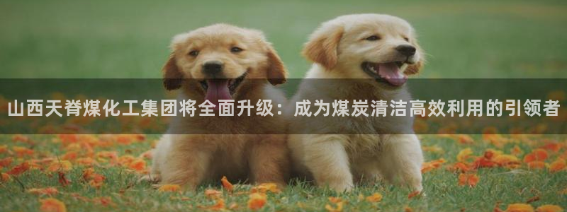 球盟会app入口：山西天脊煤化工集团将全