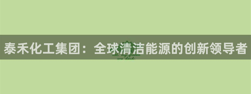 球盟会和中欧会的区别:泰禾化工集团:全球清洁能源的创新领导者