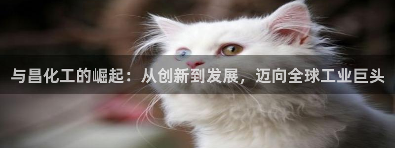 球盟会官方最新入口:与昌化工的崛起:从创新到发展,迈向全球工