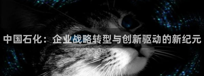 球盟会优惠领取网站:中国石化:企业战略转型与创新驱动的新纪元