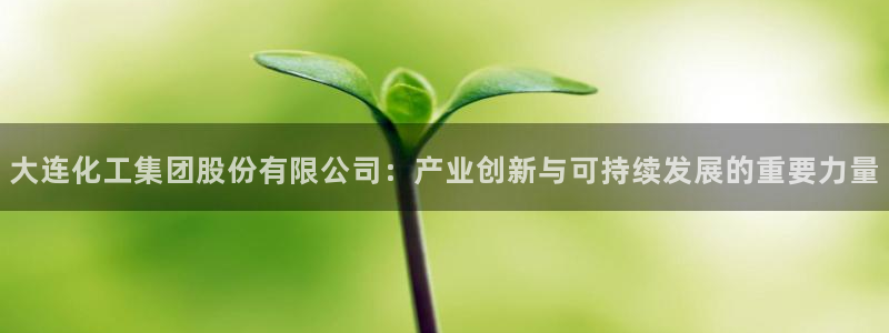 球盟会用的客服聊天是哪个软件:大连化工集团股份有限公司:产业