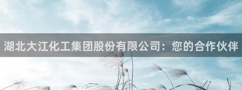 球盟会能提现吗是真的吗:湖北大江化工集团股份有限公司:您的合