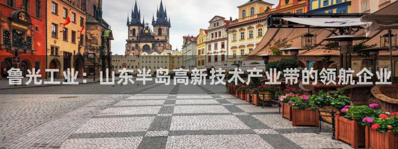 球盟会网页登录:鲁光工业:山东半岛高新技术产业带的领航企业