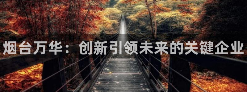球盟会连接