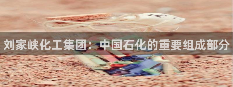 球盟会最新